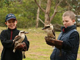 Raptor Domain - Accommodation Rockhampton 2