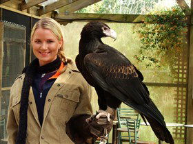 Raptor Domain - Accommodation Rockhampton 1