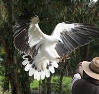 Raptor Domain - Accommodation Rockhampton