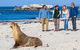 Seal Bay Conservation Park - thumb 0