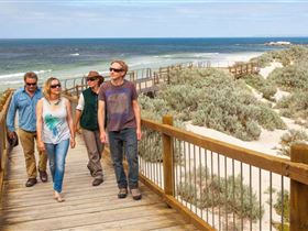 Seal Bay Conservation Park - Accommodation Rockhampton 3