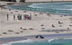 Seal Bay Conservation Park - thumb 2