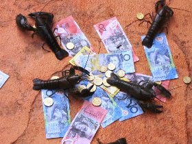 BAILEY BAR CARAVAN PARK - Accommodation Rockhampton 2