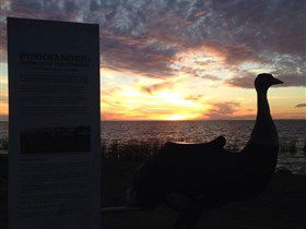 Meningie's Pelican Path - Yunti Ngopun Ngami - Accommodation Rockhampton 2