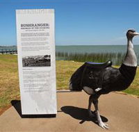 Birdman of the Coorong - Accommodation Rockhampton