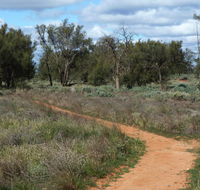 Grasslands Nature trail - Accommodation Rockhampton