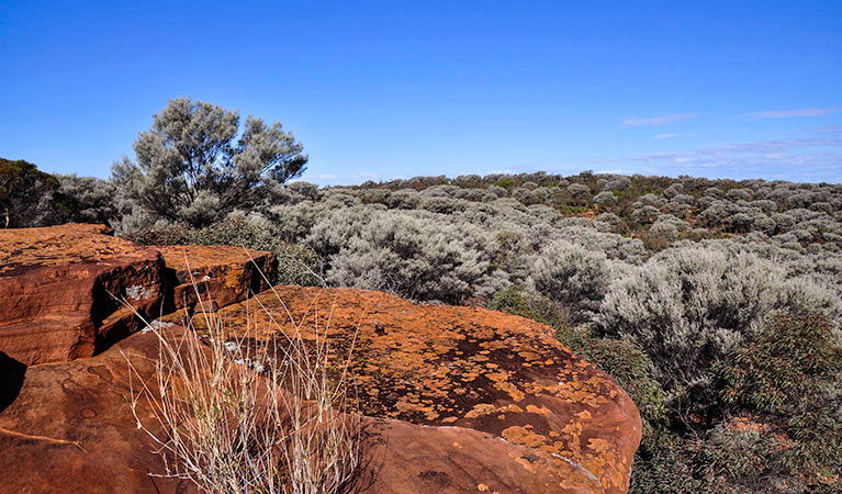  Accommodation Rockhampton