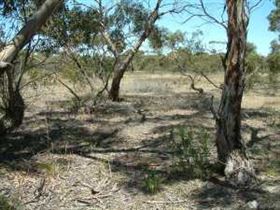 Tintinara SA Accommodation Rockhampton
