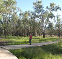 Ben Scott Memorial Bird Trail - Accommodation Rockhampton