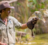 Territory Wildlife Park - Accommodation Rockhampton