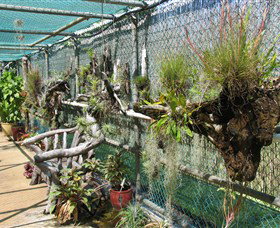 George Brown Darwin Botanic Gardens - Accommodation Rockhampton 5