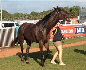 Darwin Turf Club - Accommodation Rockhampton 2