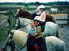 Limestone Coast Horseriding - Accommodation Rockhampton 1
