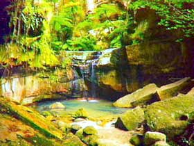 Carnarvon Gorge, Carnarvon National Park - Accommodation Rockhampton 0