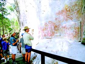 Carnarvon Gorge, Carnarvon National Park - Accommodation Rockhampton 1
