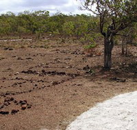 Wurrwurrwuy Garanhan Macassan Beach Interpretive Walk - Accommodation Rockhampton