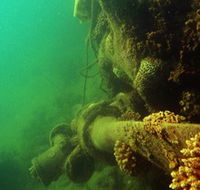Wreck Diving at Magnetic Island - Accommodation Rockhampton