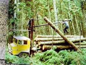 Nangwarry Forestry And Logging Museum - Accommodation Rockhampton 3