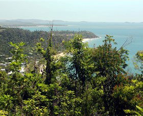 Clump Mountain National Park - Accommodation Rockhampton 1