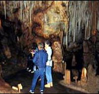 Tantanoola Caves Conservation Park - Accommodation Rockhampton