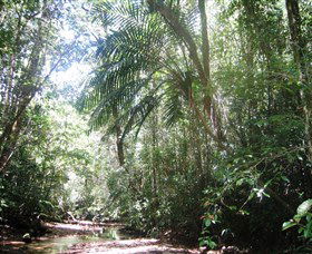 Mount Lewis National Park - Accommodation Rockhampton 0
