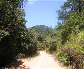 Mount Lewis National Park - Accommodation Rockhampton 2