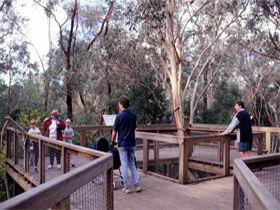 Valley Lake Conservation Park - Accommodation Rockhampton 1