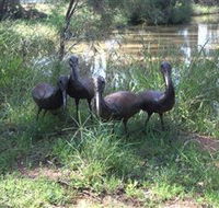 East Tolans Farm Tour - Accommodation Rockhampton