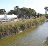 Cornalla Farm Tour - Accommodation Rockhampton