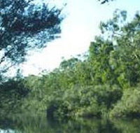 Crawford River Regional Park - Accommodation Rockhampton