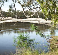 Murray Valley National Park - Accommodation Rockhampton