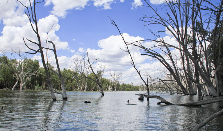 Colinroobie NSW Accommodation Rockhampton