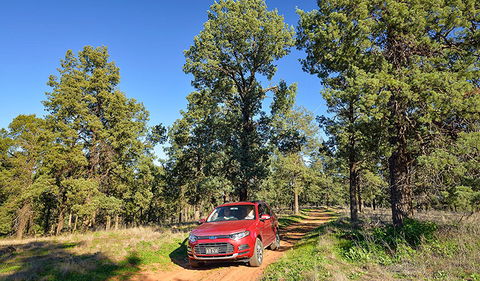 Forest Drive - Accommodation Rockhampton 0