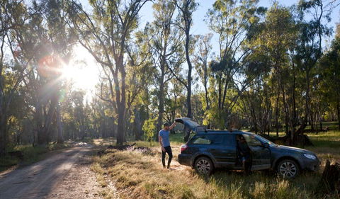 Forest Drive - Accommodation Rockhampton 1