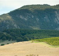 Langi Ghiran State Park - Accommodation Rockhampton