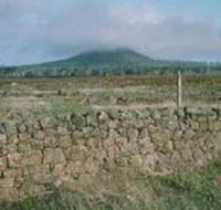 Mount Napier State Park - Accommodation Rockhampton