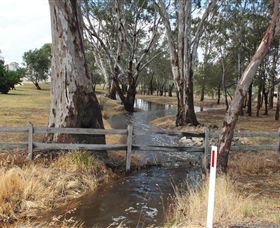 Mackereth's Hedon Farm - Accommodation Rockhampton 2