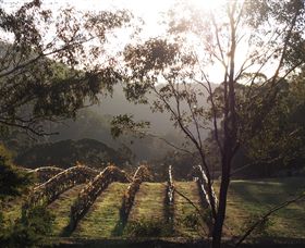 Mountainside Wines - Accommodation Rockhampton 3