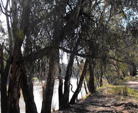 Mia Forest Drives Narrandera - Accommodation Rockhampton 0