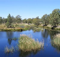 Narrandera Wetlands - Accommodation Rockhampton