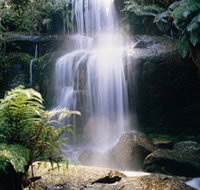 Mount Buangor State Park - Accommodation Rockhampton