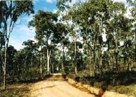  Accommodation Rockhampton