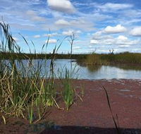 Gwydir Wetlands - Accommodation Rockhampton