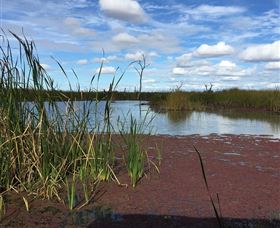Gwydir Wetlands - Accommodation Rockhampton 0