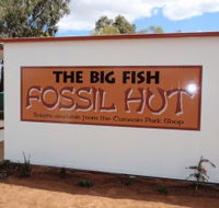Big Fish Fossil Hut at Peak Hill - Accommodation Rockhampton