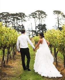 Quoin Hill Vineyard - Accommodation Rockhampton 2