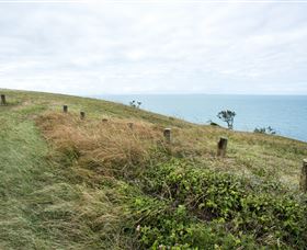 Cape Palmerston National Park - Accommodation Rockhampton 3