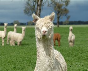 Creswick Woollen Mills - Accommodation Rockhampton 1