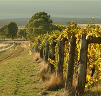 Captains Creek Organic Wines - Accommodation Rockhampton