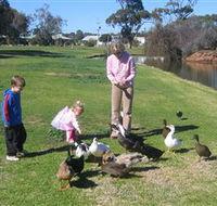 Roy Little Park Merredin - Accommodation Rockhampton